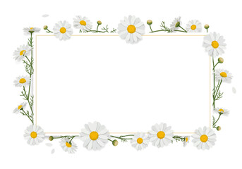 White Daisies Frame Blank Template.