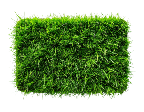 Fresh Green Grass Lawn Patch, Top-Down View, Isolated on White 