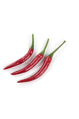 Fresh Red Chili Peppers on White Background - Sichuan Chaotian Peppers Ready for Cooking