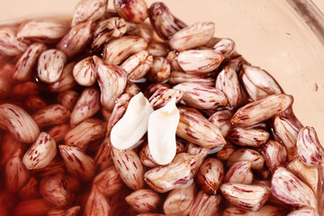 Colorful Pinto Beans Soaking in Water with Split Bean Kernel Close-Up