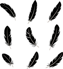 A set of feather silhouettes, feathers of various shapes vector illustration