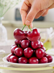 Fresh Red Cherries from Shandong China Hand Picking Ripe Fruit on White Plate