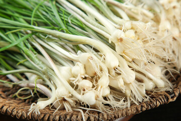 Fresh Wild Mountain Onions from Xiangxi with Rootlets in Wicker Basket