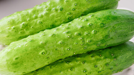 Fresh Green Cucumbers with Water Droplets from Shandong China - Organic Vegetable Produce