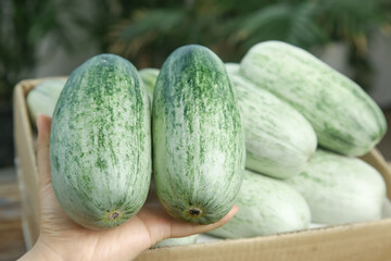 Fresh Honeydew Melons in Wooden Crate - Garden Harvest Display