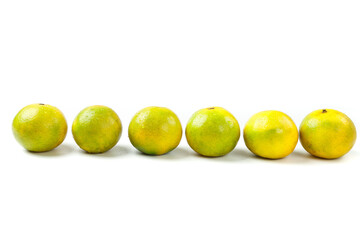 Fresh Green Yellow Citrus Fruits Row White Background Guangxi Emperor Variety