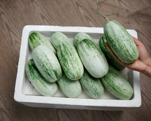Fresh Shandong Garden Melons in Container - Hand Holding Striped Green Melon