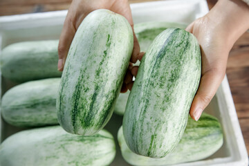 Fresh Shandong Yangjiao Honeydew Melons - Premium Quality Green Striped Fruit Selection