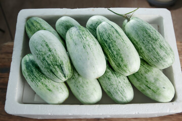 Fresh Shandong Yangjiao Honeydew Melons in Container - Chinese Variety with Green Stripes