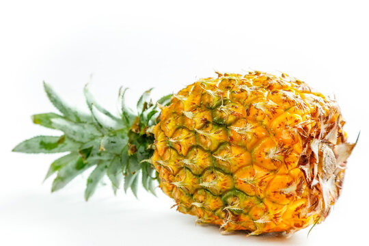 Fresh Whole Pineapple from Xuwen Zhanjiang China Tropical Fruit White Background