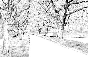 漫画風ペン画イラスト　河川敷