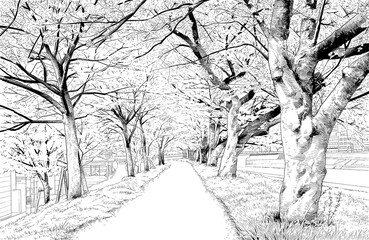 漫画風ペン画イラスト　河川敷