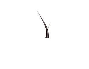 Minimalist Hair Follicle Illustration PNG