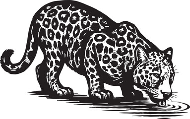 Detailed black and white woodcut illustration of a jaguar drinking water from a rippling pool in a forest setting