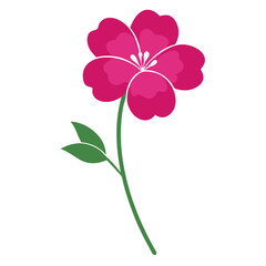 nemesia poetry  pink flower silhouette  flower vector isolated
