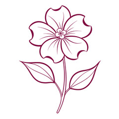 nemesia poetry  pink flower line art vector on white