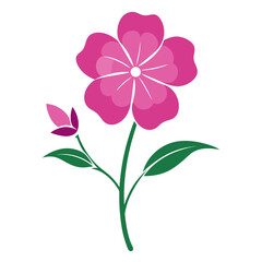 nemesia strumosa pink flower silhouette