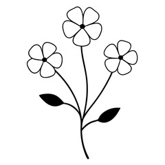  nemophila maculata flower line art vector on white background