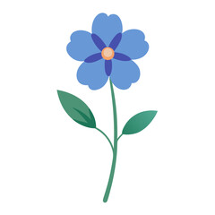  nemophila maculata flower vector on white