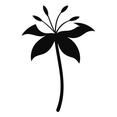 silhouette nerine bowdenii white flower vector illustration isolated 