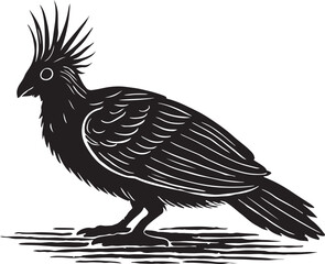 Black and white illustration of a crested bird with spiky head feathers standing on a textured ground