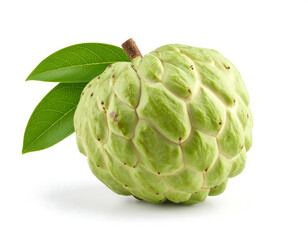 Obraz premium Fresh custard apple fruit with green leaves on white background