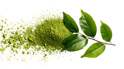 Matcha tea powder and fresh green tea leaves isolated on transparent background.