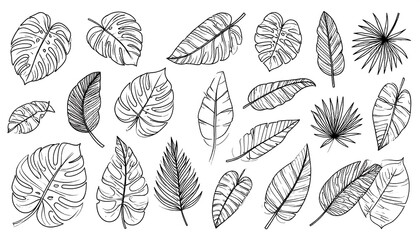 Collection of line-drawn tropical leaves, varying in shape and size, on a white background
