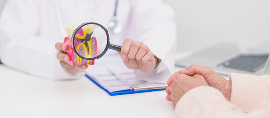 Elderly Patient consulting Dentist to Tooth disease, Senior Health Medical Diagnosis. Anatomy teeth...