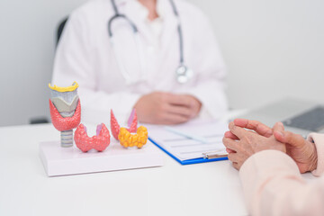 Elderly Patient consulting and Diagnosis with Doctor to Thyroid disease. Anatomy Thyroid model for...