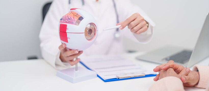 Elderly Patient consulting Doctor to Eye disease, Senior Medical Diagnosis. Anatomy Eye model for Cataract, Glaucoma, Age Related Macular Degeneration, Diabetic Retinopathy, Vitreous, health concept