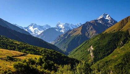 Obraz premium Mountain vista, lush valley, snow-capped peaks