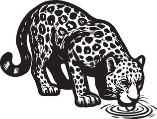 A striking black and white illustration of a jaguar gracefully drinking water from a rippling pool in a detailed woodcut style