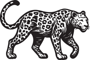 Striking black and white woodcut illustration of a powerful leopard walking with its spotted coat and long tail