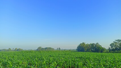 A clear blue sky with lush green fields and trees adds depth to the landscape.