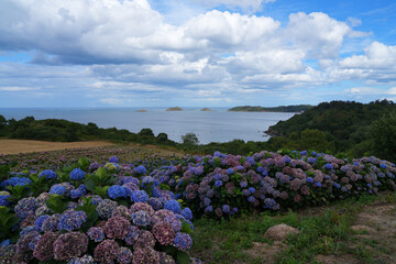 Fototapety na wymiar - Fototapeta24.pl