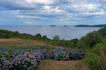 Fototapety na wymiar - Fototapeta24.pl
