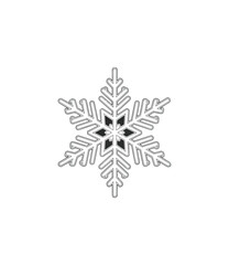 Snowflake illustration white detailed winter element on black