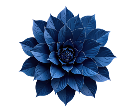 Blue Floral Design with Transparent Background, 3D Realism Cutout for Web Design