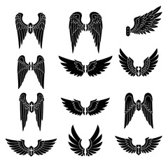 Collection of Black Wing Designs with Cross Emblems