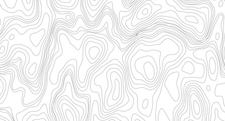 White topography topology vector white background, Topography background. Vector banner. contour line.