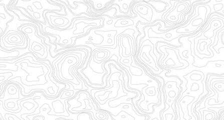 Modern design with White background with topographic wavy pattern design, White topography topology vector white background.