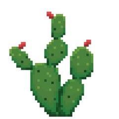 cactus pixel art