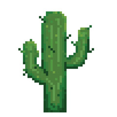 cactus pixel art
