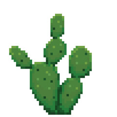 cactus pixel art
