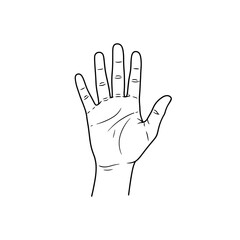Outlined Human Hand with Fingers Extended Upward