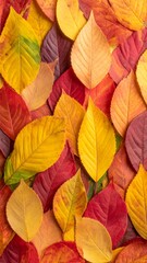 Obraz premium Golden foliage flat lay with layered autumn leaves