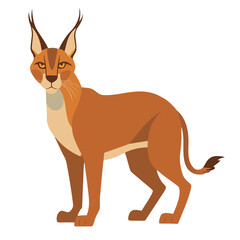 Orange-brown caracal with distinctive long tufted ears and tan belly standing in profile.