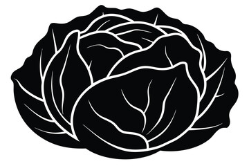 cabbage vector icon illustration design
