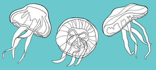 Three stylized, line-art jellyfish float gracefully against a solid turquoise background, showcasing their bell shapes and trailing tentacles in a simple, clean illustration.